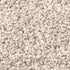 Shaggy Teppich | Flauschiger Langflor fürs Wohnzimmer, Esszimmer, Schlafzimmer oder Kinderzimmer | Creme